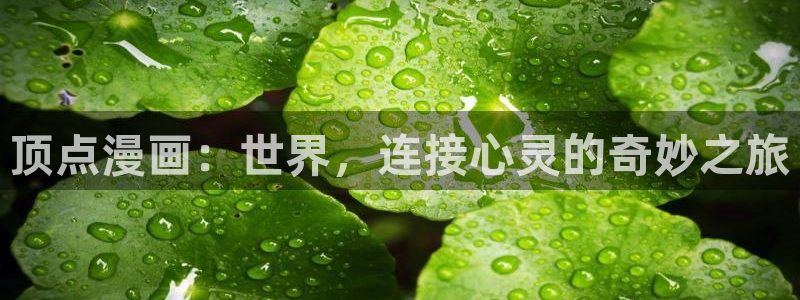 哔咔漫画18+下载