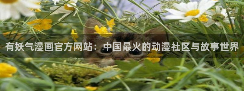 哔咔漫画免费下载ios