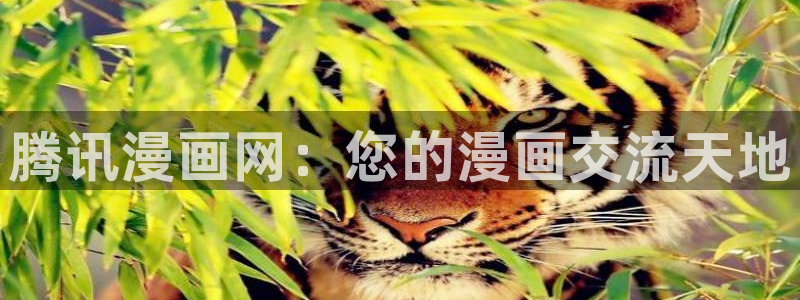哔咔漫画cg
