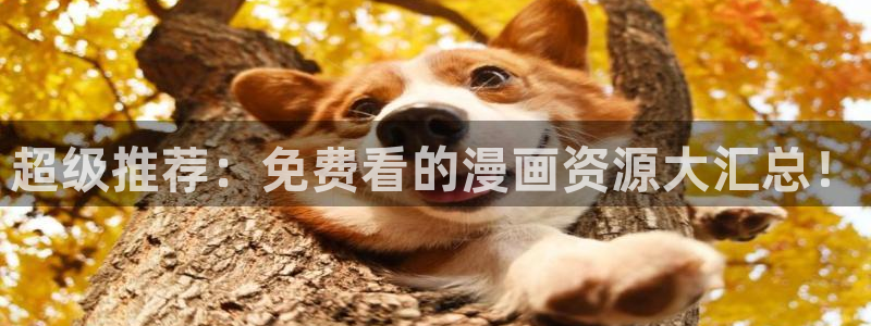 bk是哔咔漫画吗