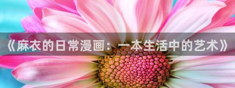 哔咔漫画苹果端